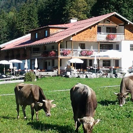 Berggasthof Riefenkopf オーベルストドルフ エクステリア 写真
